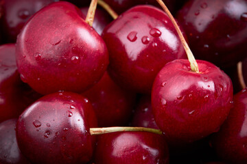 close up view for fresh dark sweet cherry with drops. healthy eating concept.