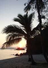Sunset on a beautiful island with palm tree in Fiji