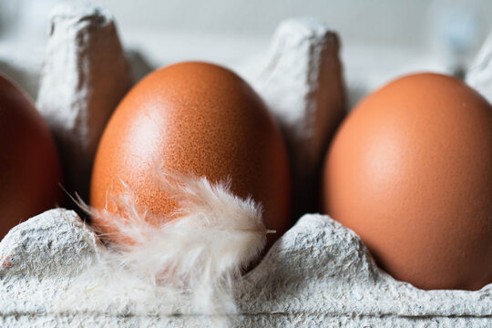 Close up macro image of two medium sized free range organic eggs.  One has a white feather stuck to the site.  Natural light with the eggs inside the box container