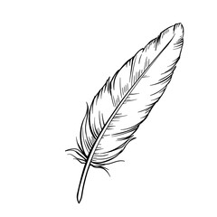 Hand drawn feathers