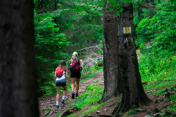 Obraz premium Fitt hiking girls in the pine forest