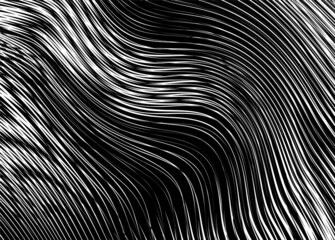 Abstract vector fur from thin curved white lines on a black background. Modern vector pattern