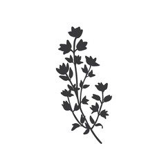Fototapeta premium Thyme silhouette icon.