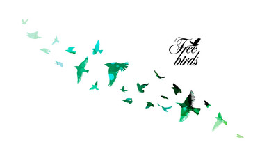 Obraz na płótnie Canvas Bird watercolor. A flock of colorful birds. Vector illustration