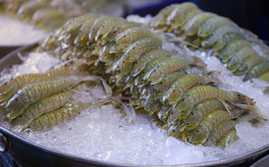 Fresh crayfish on frozen plates