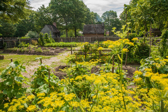YoA garden with a rustic building in Historic Yorktown village, part of Colonial National Historic Park, Virginia, established by the Act for Ports of 1691