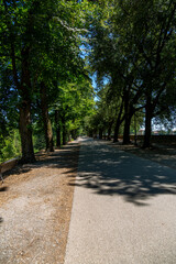 Fototapeta premium Stadtmauer und Stadttore von Lucca Stadttore mit Innen- und Aussenansicht zusätzlich Aufnahmen von der Stadtmauer in die Stadt fotografiert