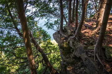 Rock Cliff in the Forest