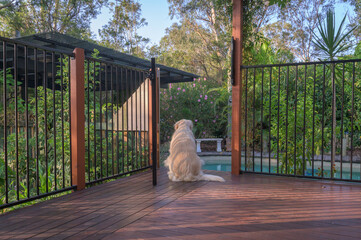 Home Pool Fence with gate open