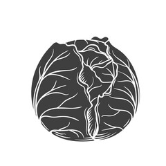 Cabbage glyph icon