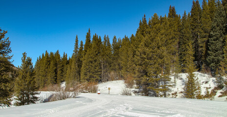 Snow Mobile Trails in Near Camp Hale, Colorado
