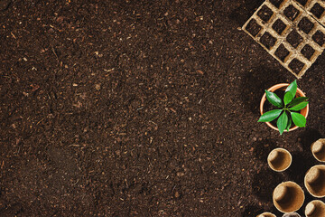 Gardening tools on soil background. Working in the garden