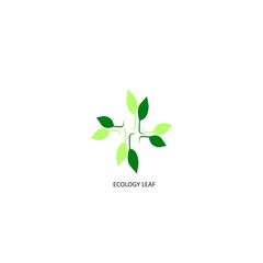 ecology leaf illustration vector background