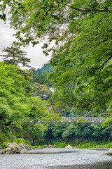 Fototapeta na wymiar 【東京都 多摩川】上流の自然に囲まれた河川