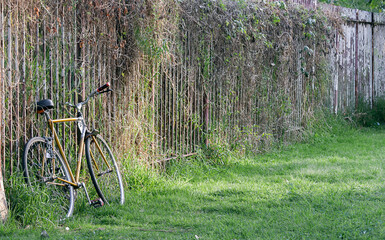 bici sobre la reja de un de un paruqe abandonado