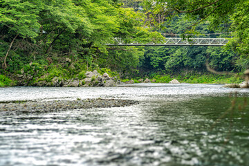 【東京都 多摩川】上流の自然に囲まれた河川