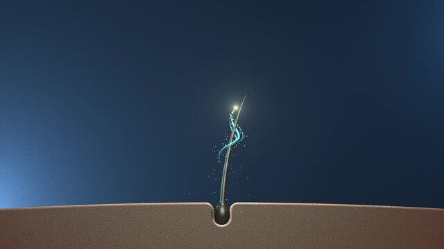 Hair treatment. A new hair growth 3D animation