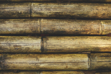 Bamboo Pattern - 363719418