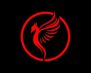 Fototapeta premium Red circle shape and phoenix