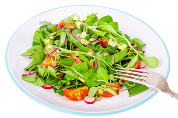 Salad of young leaves of beet, cherry, radish and pumpkin seeds.