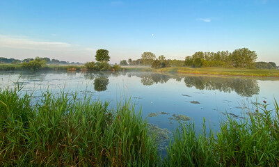 golf course pond marsh sunrise morning moon tree reflections
