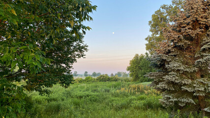 sunny morning on golf course trees pond day moon
