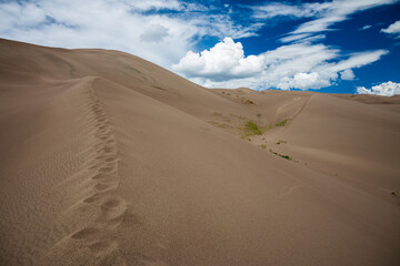 Sand Dunes National Park, Colorado