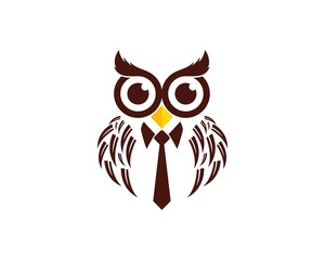 Brown owl with necktie