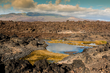Anchialine Pools And Haleakala, Cape Hanamanioa And The Blue Waters Of La Perouse Bay, Makena-La Perouse State Park, Maui, Hawaii, USA