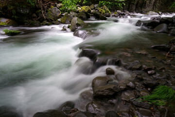 Fototapeta na wymiar 森の中にある渓流の水の流れ
