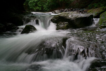 森の中にある渓流の水の流れ