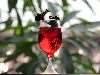 glass of red wine