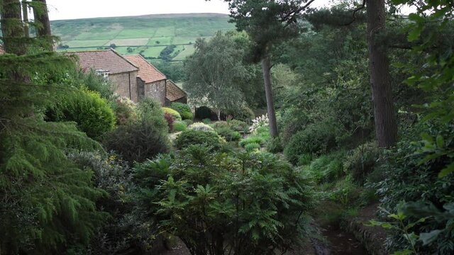 A calm summer evening looking over a mature woodland garden by a stream - Farndale North Yorkshire Moors
Audio included features birdsong water and sheep