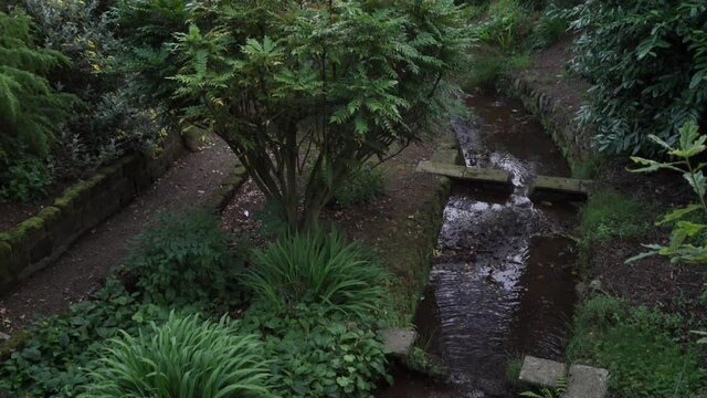 A calm summer evening looking over a mature woodland garden by a stream - Farndale North Yorkshire Moors
Audio included features birdsong water and sheep
