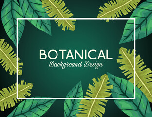 tropical leafs in square frame and lettering botanical background design