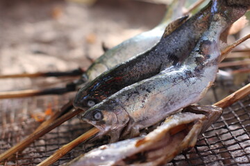 yamame(japanese trout), called queen of mountain stream grilled with salt