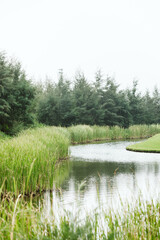 Empty pond in golf course