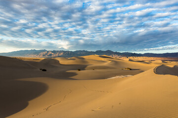 Obraz na płótnie Canvas Scenic View Of Desert Against Sky