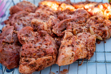 Raw marinaded juicy pork meat in grill grates. Fresh food prepared for barbeque. Summer cooking outdoors
