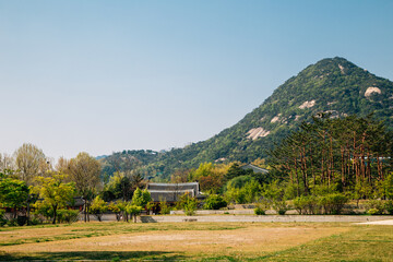 Gyeongbokgung Palace at summer in Seoul, Korea