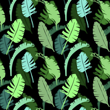 Floral seamless pattern with palm leaves. Hand drawn sketch style. Green silhouette on black background.