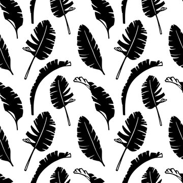 Floral seamless pattern with palm leaves. Hand drawn sketch style. Black silhouette on white background.