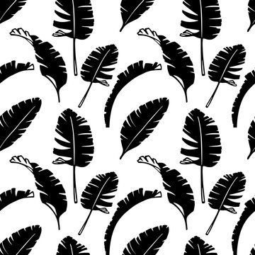 Floral seamless pattern with palm leaves. Hand drawn sketch style. Black silhouette on white background.