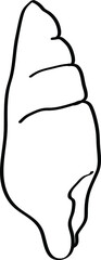 simple line vector art of marine seashell