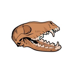 skull animal vector