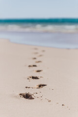 Seashore In Cape Range National Park, Australia.