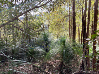 Lake Baroon and the surrounding forests, a main water reservior in Queensland