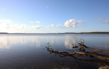 Beautiful Lake Weyba on Sunshine Coast, Queensland Australia surrounded by forests and soft lighting