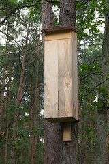 wooden wild bees hotel, insect shelter in forest