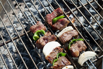 BBQ grilling meat with a bonfire outdoors